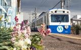 小古曽駅に到着したなろうブルーに花を入れて撮影。<br />
