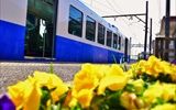 内部駅のホームに咲いた鮮やかな花。それに｢春の訪れ｣を感じ、なろうブルーと撮影しました。
